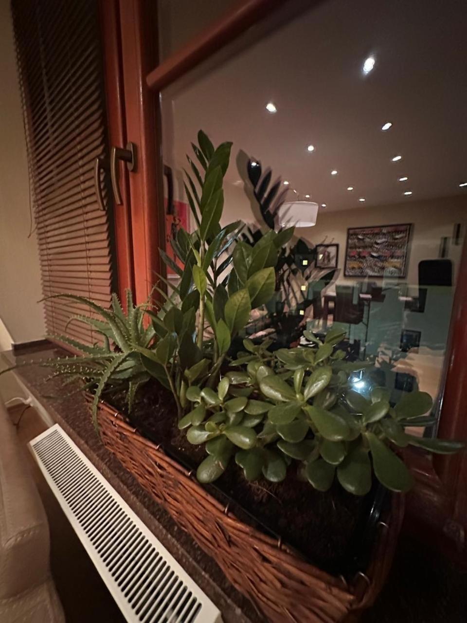 Apartament Josefina Polanica-Zdroj Luaran gambar